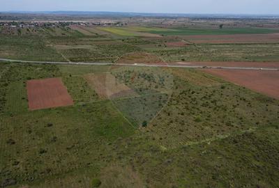 Teren agricol extravilan de 33000 mp, în Bolotești - 4