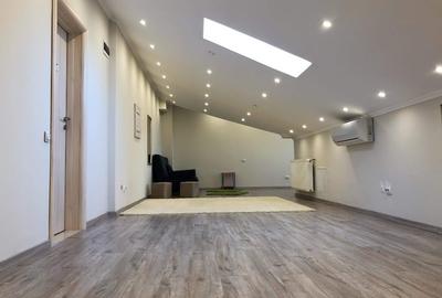 Ocazie, Ap 132m2, 1000 mp2, Hanu Visoianu, utilat,cu balcon, 2 locuri de parcare - 10