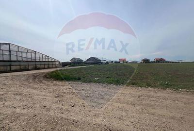 Teren de 17000 mp, în Matca - 7