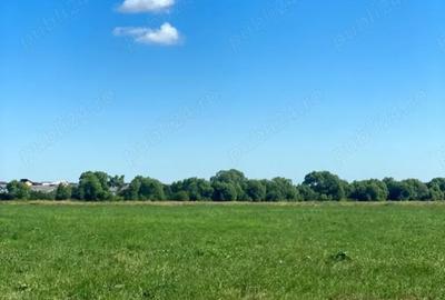 Teren Construcții extravilan de 8800 mp, în Arhitecților - Calea Cisnădiei - 1