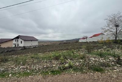 Teren intravilan, 500 MP, comuna Simnicu de Sus - 1