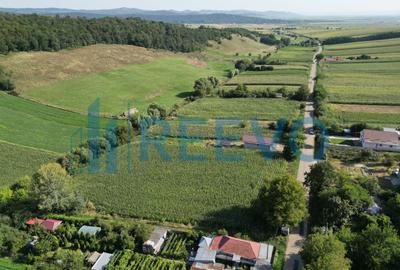 Teren Construcții intravilan de 3500 mp, în Bogdănești (Traian) - 9