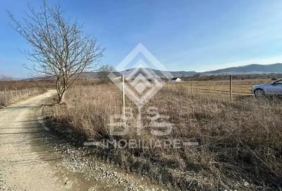 Teren de 1600 mp, în Unirea