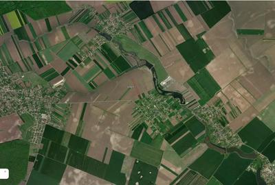 Teren în Dascălu - 1