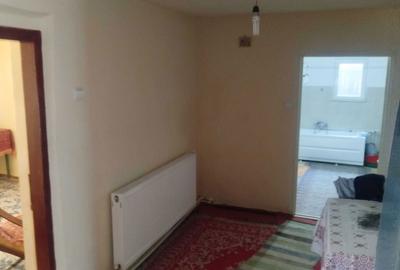 Casă cu 4 camere în Cernișoara - 1