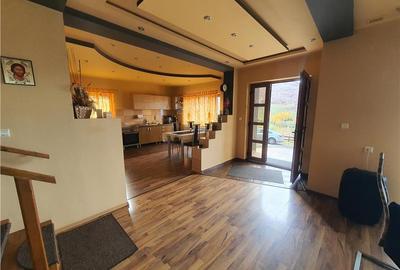 Oferta casa de vacanta P+1+M cu 1700mp teren, in Gura Raului - 16