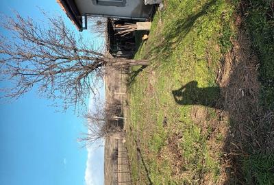 Casă cu 3 camere în Dâmbovița - 1