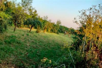 Teren în Măgurele - 4