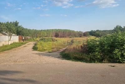 Se vinde teren 2000 mp in Teisori Giurgiu - 4
