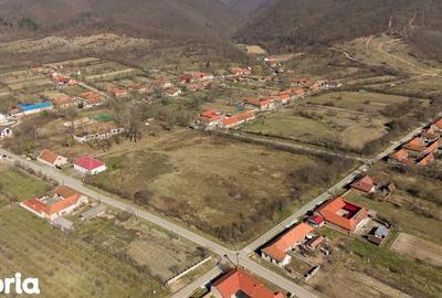 Casă cu 8 camere cu Teren 7235 Mp în Traian Vuia - 16