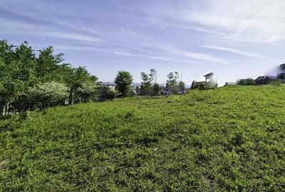 Teren intravilan Trivale Pitesti - 3