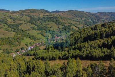 Teren Construcții intravilan de 1000 mp, în Muntele Băișorii - 9