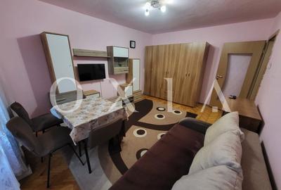 Apartament cu 1 camere decomandat, mobilat în Șagului