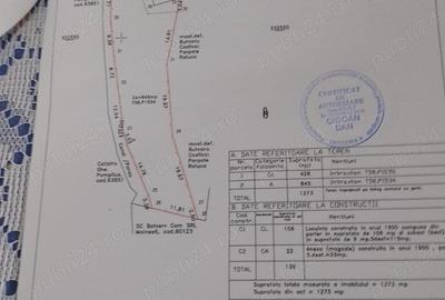 Casa batraneasca in Tg ocna - 3