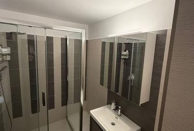 Apartament cu 3 camere decomandat în Lunca Cetățuii - 7