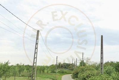 TEREN POIANA LACULUI - 4