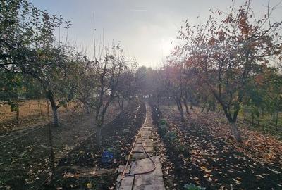 Pipera | Gradina | Iesire la lac | Terasa - 27