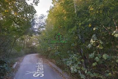 Teren de 274384 mp, în Central - 2