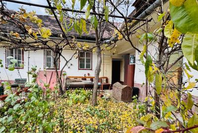 Casă cu 3 camere cu Teren 187 Mp în Terezian