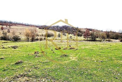 Teren agricol extravilan de 25000 mp, în Secaș - 14