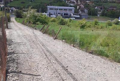 Teren de 16700 mp, în Corunca - 2