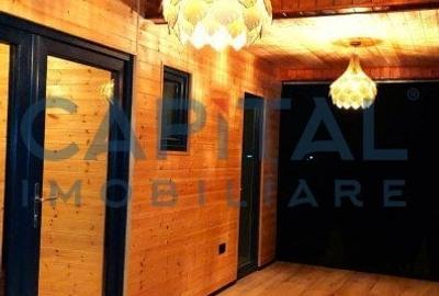 Oportunitate! Casa de vacanta A-frame, judetul Arges - 9