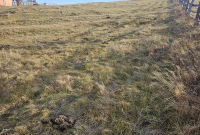 Spațiu comercial, în Măguri - 6