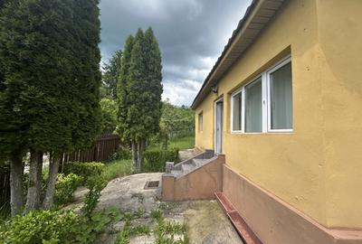 VAND  3120 MP TEREN CU CASUTA , SURDESTI BREAZA - 3