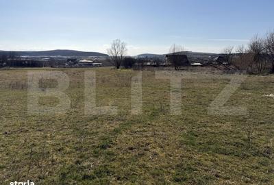 Spațiu comercial, în Badon - 2