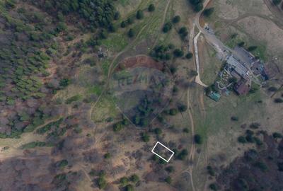 Teren Construcții intravilan de 1000 mp, în Poiana Brașov - 6