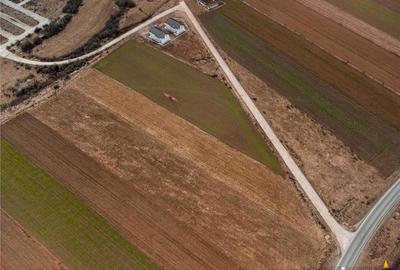 Teren de 5500 mp, în Tărlungeni