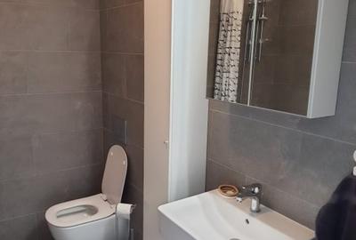 Studio dublu Bucurestii Noi | Chitila | Lac Straulesti - 9