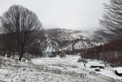 Spațiu comercial, în Central - 3