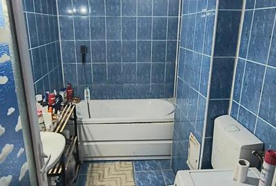 Vanzare apartament Rahova (Parc Humulesti) - 4