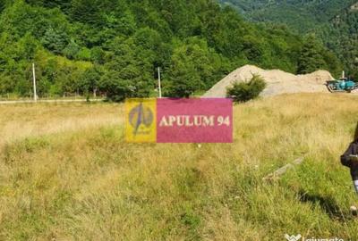 Teren de 744 mp, în Brezoi - 6