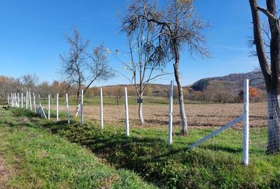 Teren de 4316 mp, în Fârdea - 2