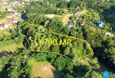 TEREN 6700 MP, INTRAVILAN LANGA PADURE - 13