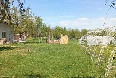 Casă cu 4 camere în Brestovăț - 3