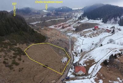 Casă cu Teren 3808 Mp în Fundata - 3