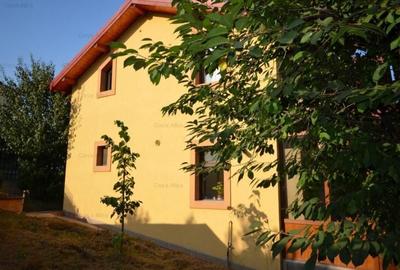 Proprietate de inchiriat: casa Parter + Etaj, Bucium - 25