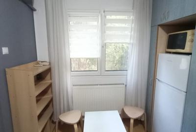 Drumul Taberei- Plaza- Inchiriere gars cf 2 semidec 1 din 10 mobilat/utilat - 2