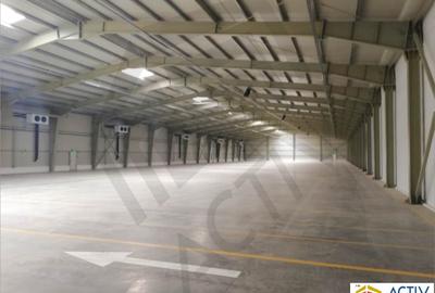 DEPOZIT TEMPERATURA CONTROLATA ALUTI & VALSI COLD STORAGE - 2