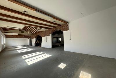 Spatii, vad, birouri, medical, hala, teren, de la 25mp la 500mp, zona ISU Copou - 21