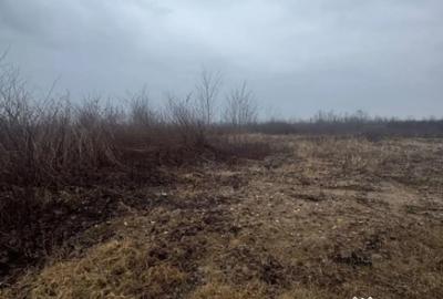 Teren de 8200 mp, în Tăuții-Măgherăuș - 3