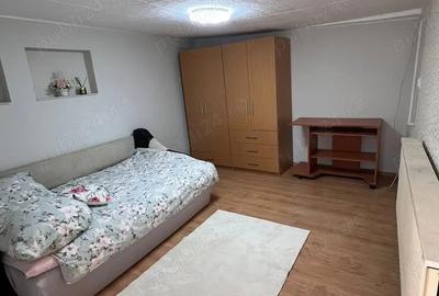 Inchiriez apartament cu o camera, 20-30mp, in zona centrala, la casa - 11