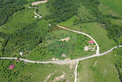 Teren intravilan de vanzare 12,700mp Codru Butesii / Stra... - 2