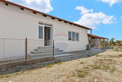 Casă cu 5 camere cu Teren 2834 Mp în Satu Mare - 4