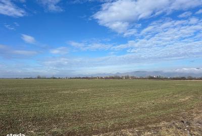 Teren de 750 mp, în Central - 3