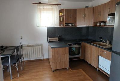 Casă cu 5 camere cu Teren 348 Mp în Viforâta - 1