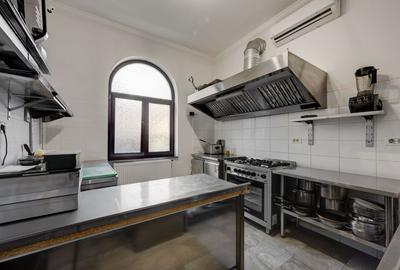 Vindem Afacerea ! Mini Hotel + Cafenea/ Restaurant ! Parcul Carol ! - 33